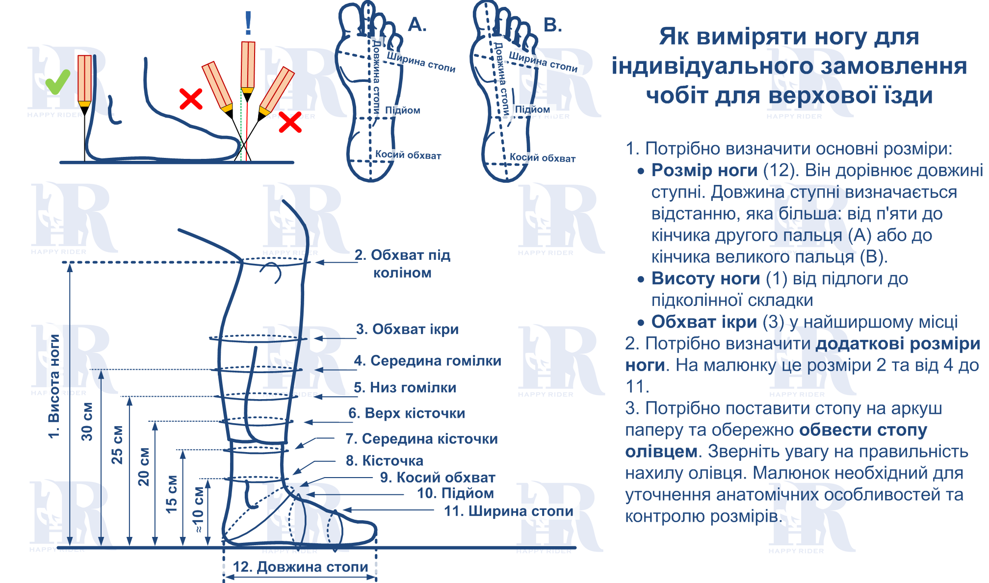 Розміри для індивідуального замовлення чобіт для верхової їзди